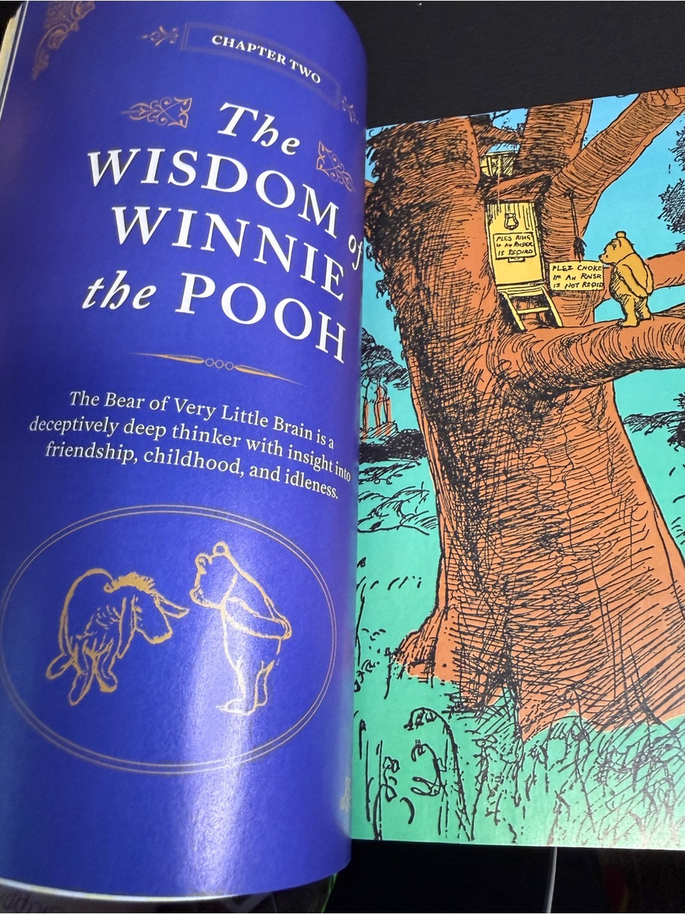 Stanley 40oz H2.0 Tumbler - Chroma Laser Etch Rainbow Pooh - Picture 16 of 16